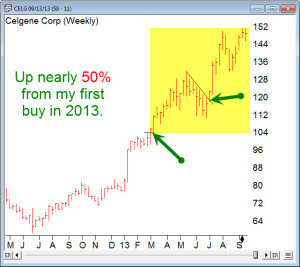 Dan Zanger Chartpattern.com Review - CELG